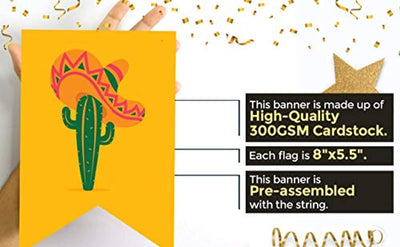Final Fiesta Bachelorette Party Decorations- Cinco De Mayo Party Supplies-Fiesta Banner Cactus Pattern Garland Flag For Baby Shower Bridal Wedding Engagement Mexican Party Decoration Banner - BOSTON CREATIVE COMPANY