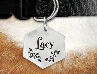 Botanical Garden Christmas Dog Collar Gifts | Hexagon Dog Pet ID Collar Tag - BOSTON CREATIVE COMPANY