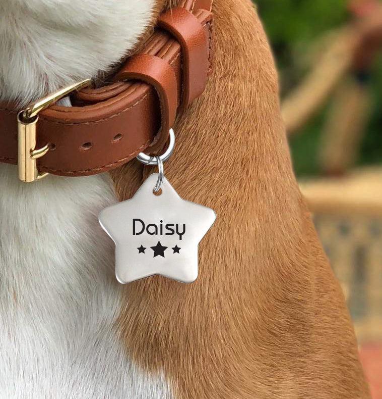 Name Tag Good To Go Dog Collar Christmas Dog Collar Gifts Star