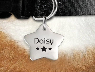 Christmas Dog Collar Gifts | Star shaped Pet Tags for Collar - BOSTON CREATIVE COMPANY