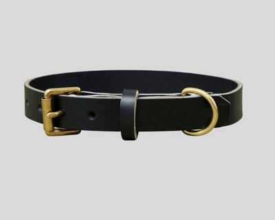 Personalised Dog collar - Boston Creative Company