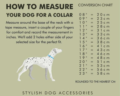 Personalised Dog collar - Boston Creative Company