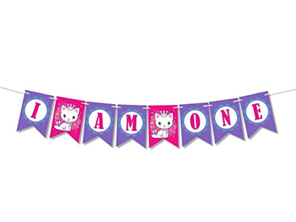 I am one banner baby First birthday decorations for girl creative banner -One Year party supplies-Rose and Violet theme birthday party favor decor-fun deco party 1st birthday happy birthday banner - BOSTON CREATIVE COMPANY