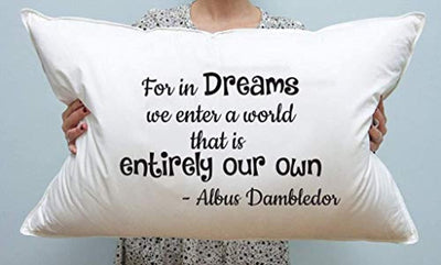 Motivational Quote Pillow Cover Gift for kids - BOSTON CREATIVE COMPANY