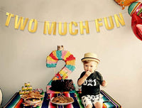 Two Much Fun Banner Second Birthday Decoration For Boy Or Girl - Happy 2nd Birthday Garland Sign Party Decorations Anniversary Decor Gold Banner-twins Kids Toddler High Chair Party Supplies Kit - BOSTON CREATIVE COMPANY