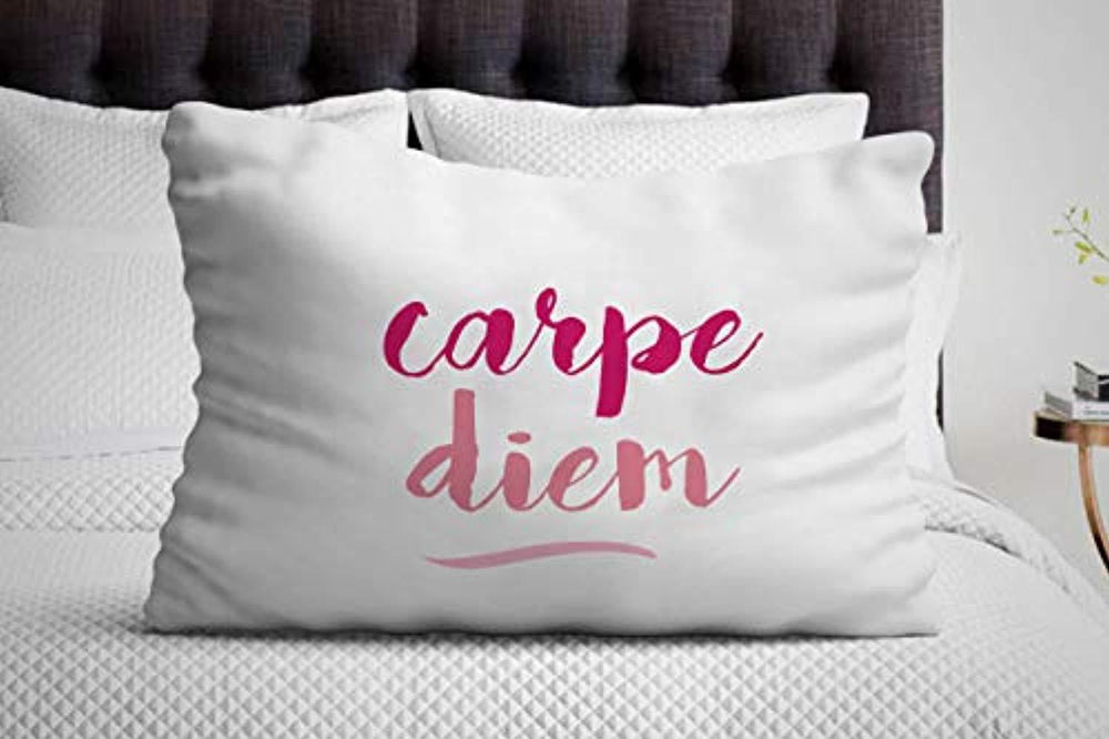 Carpe Diem Inspirational Motivational Decorative Pillow Cover - BOSTON CREATIVE COMPANY
