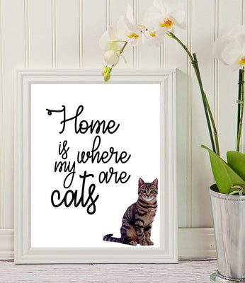Wall art - Home is where my cats are - Cat Lovers Art - Room decor - Funny Quote Art - Gift for Pet Lover - Cat Quote Print - Crazy Cat Lady - Wall Hanging - pet memorial gifts - Housewarming Gift - BOSTON CREATIVE COMPANY