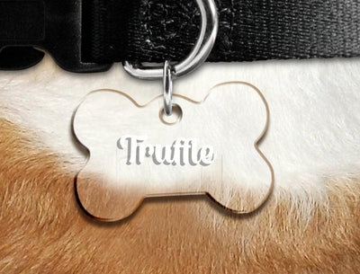 Christmas Dog Collar Gifts | Acrylic Bone Shape Dog ID Pet Tags for Collar - BOSTON CREATIVE COMPANY