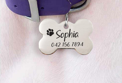 Personalized Stainless Steel Bone Pet ID Tags | Engraved Bone Shape Dog ID Tags For Collars - BOSTON CREATIVE COMPANY