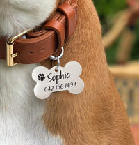 Personalized Stainless Steel Bone Pet ID Tags | Engraved Bone Shape Dog ID Tags For Collars - BOSTON CREATIVE COMPANY