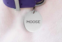 Christmas Dog Collar Gifts | Personalized Dog Name Tag for Collar - BOSTON CREATIVE COMPANY