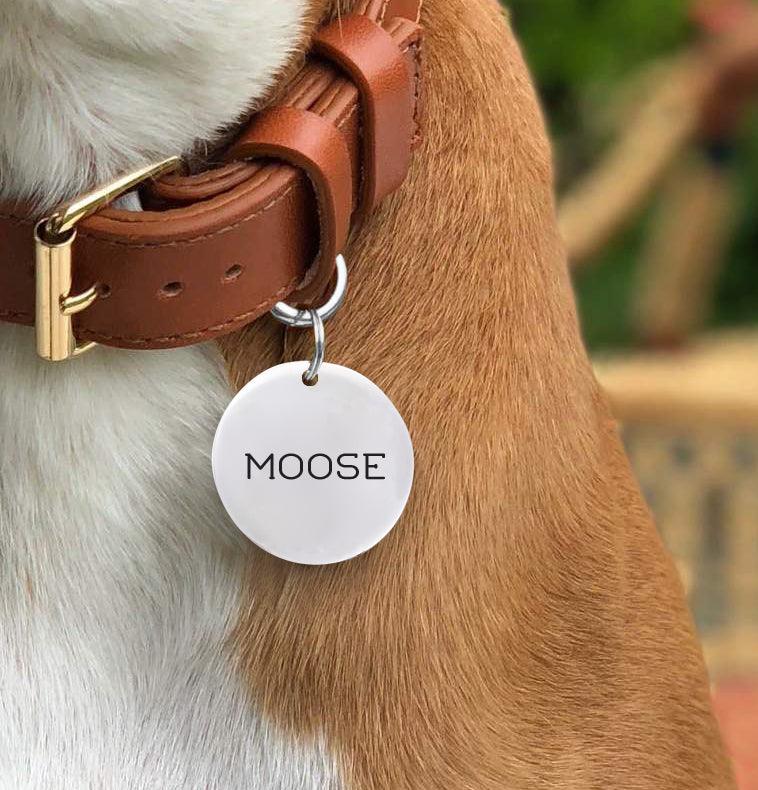 Christmas Dog Collar Gifts | Personalized Dog Name Tag for Collar - BOSTON CREATIVE COMPANY