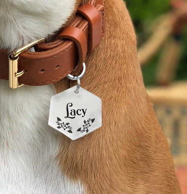 Botanical Garden Christmas Dog Collar Gifts | Hexagon Dog Pet ID Collar Tag - BOSTON CREATIVE COMPANY