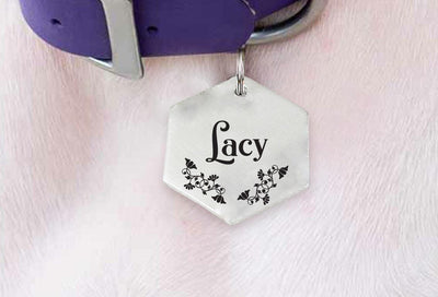 Botanical Garden Christmas Dog Collar Gifts | Hexagon Dog Pet ID Collar Tag - BOSTON CREATIVE COMPANY