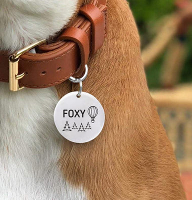 Christmas Dog Collar Gifts | Hot Air Balloon Pet ID Name Tag Collar Gift - BOSTON CREATIVE COMPANY