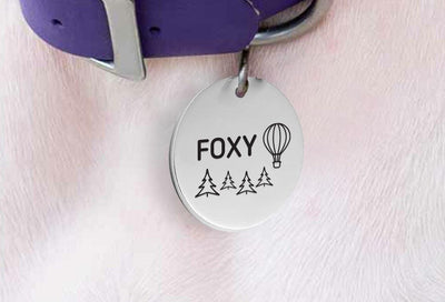 Christmas Dog Collar Gifts | Hot Air Balloon Pet ID Name Tag Collar Gift - BOSTON CREATIVE COMPANY