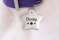 Christmas Dog Collar Gifts | Star shaped Pet Tags for Collar - BOSTON CREATIVE COMPANY